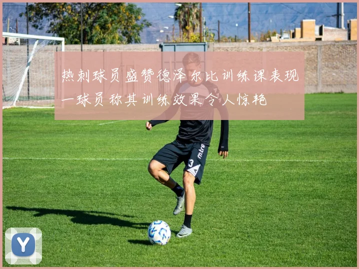 热刺球员盛赞德泽尔比训练课表现一球员称其训练效果令人惊艳