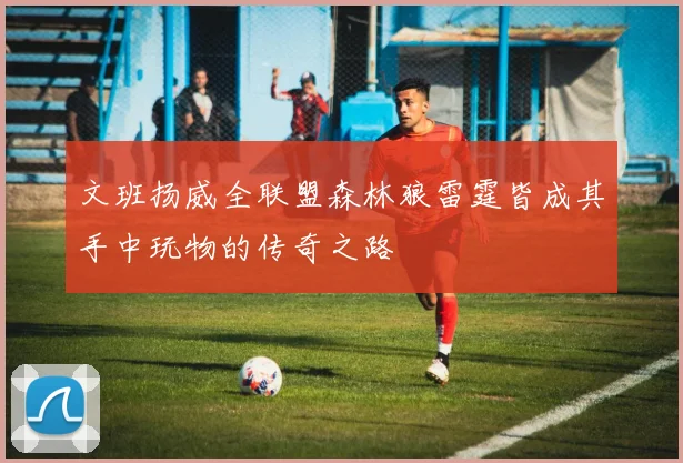 文班扬威全联盟森林狼雷霆皆成其手中玩物的传奇之路